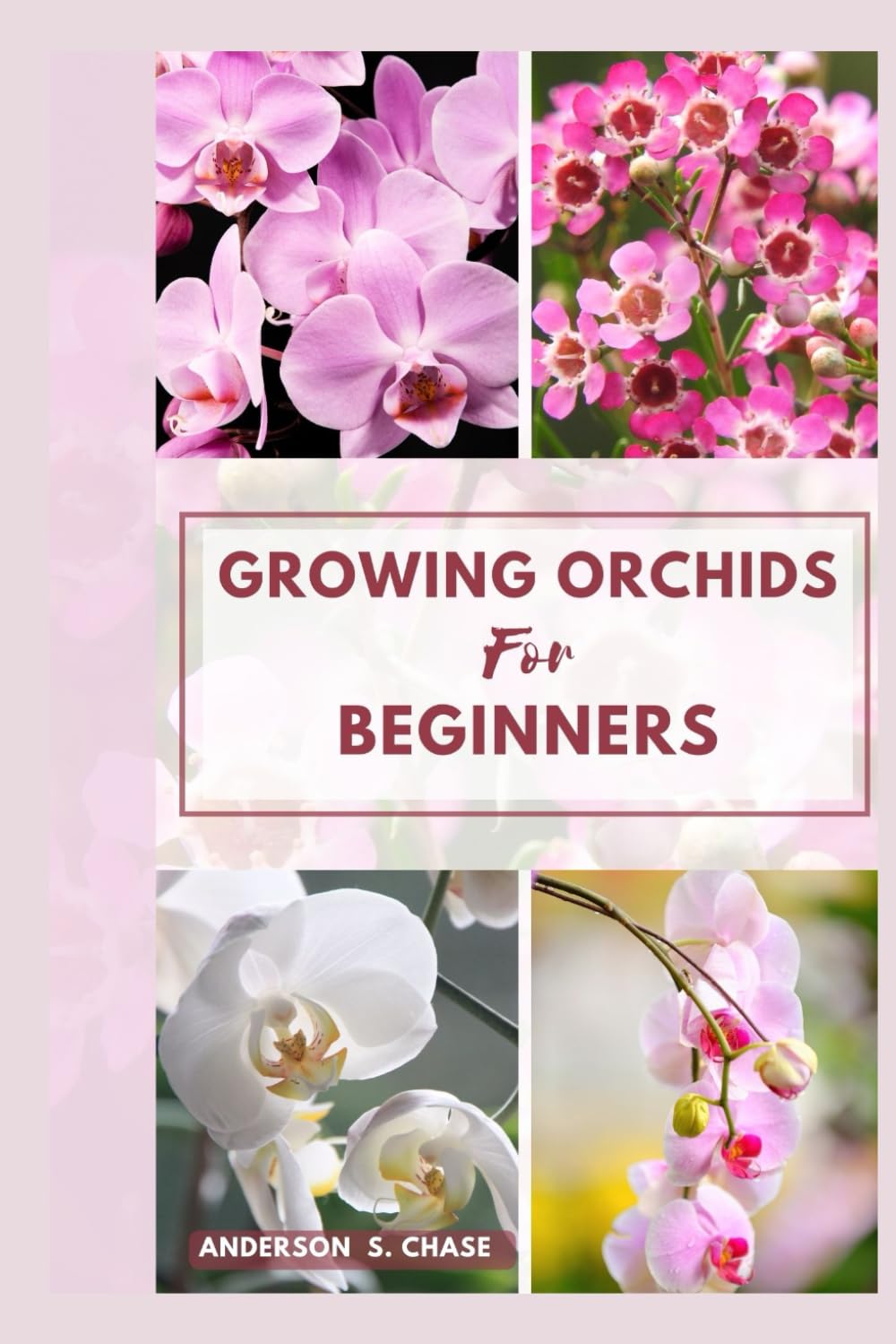 Growing Orchids For Beginners: Easy Steps-by-Step Guide on How To Grow and Care for Orchids at Home baixar o livro de graça