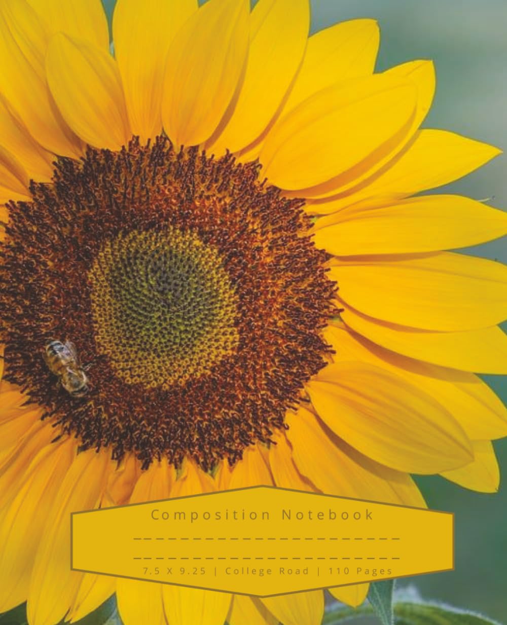 capítulo por capítulo baixar Sunflower: Composition Notebook