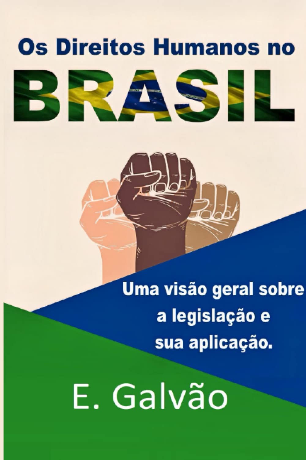 ler totalmente Direitos Humanos no Brasil: Uma visão geral sobre a legislação e sua aplicação.