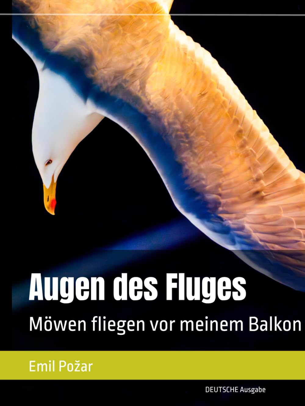 Augen des Fluges: Möwen fliegen vor meinem Balkon (German Edition)