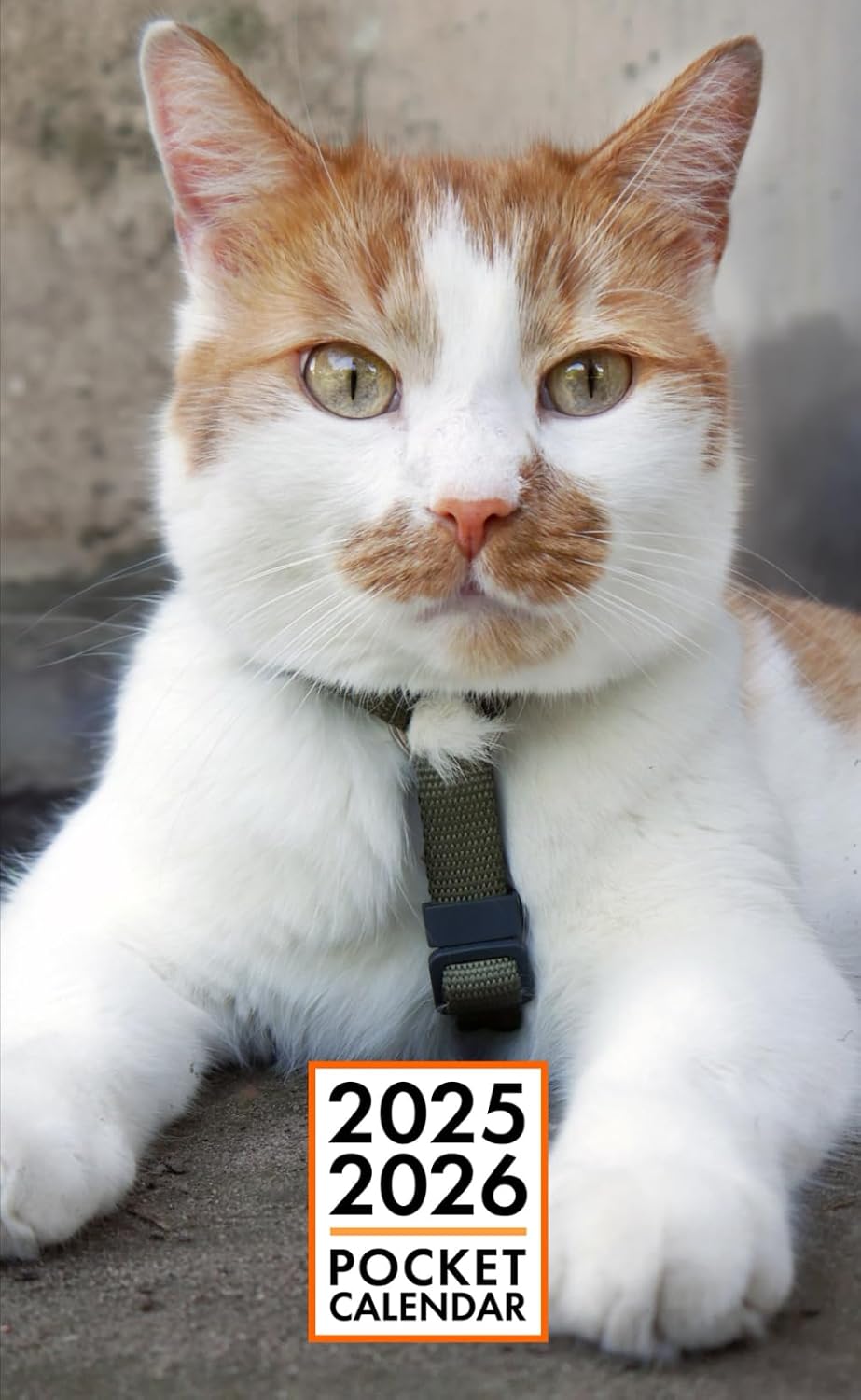 Pocket Calendar 2025-2026 for Purse - Parys Cat v1 | 2 Year Pocket Planner January 2025 - December 2026 | Small Pocket Size 4 x 6.5 | Sketches of Cats in the Middle baixar livro de graça