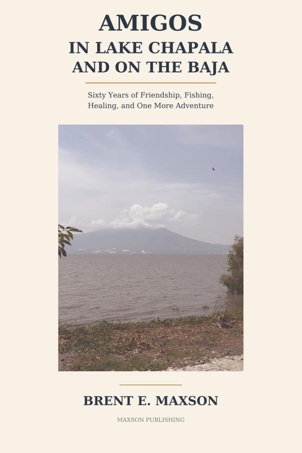 ler totalmente Amigos in Lake Chapala and on The Baja: Sixty years of Friendship, Fishing, Healing, and one more Adventure
