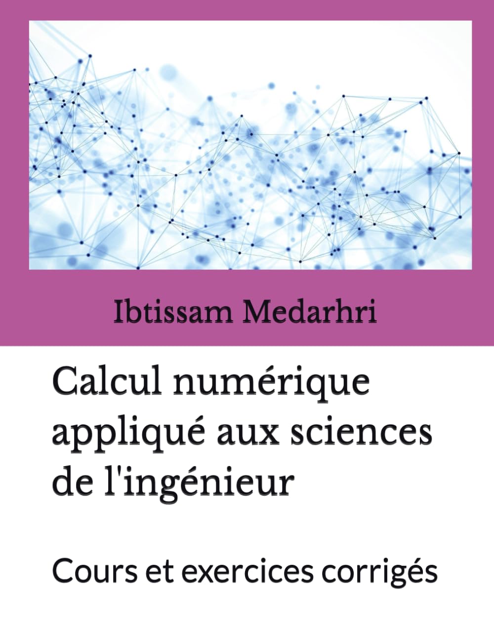 capítulo por capítulo baixar Calcul numérique appliqué aux sciences de l'ingénieur: Cours et exercices corrigés