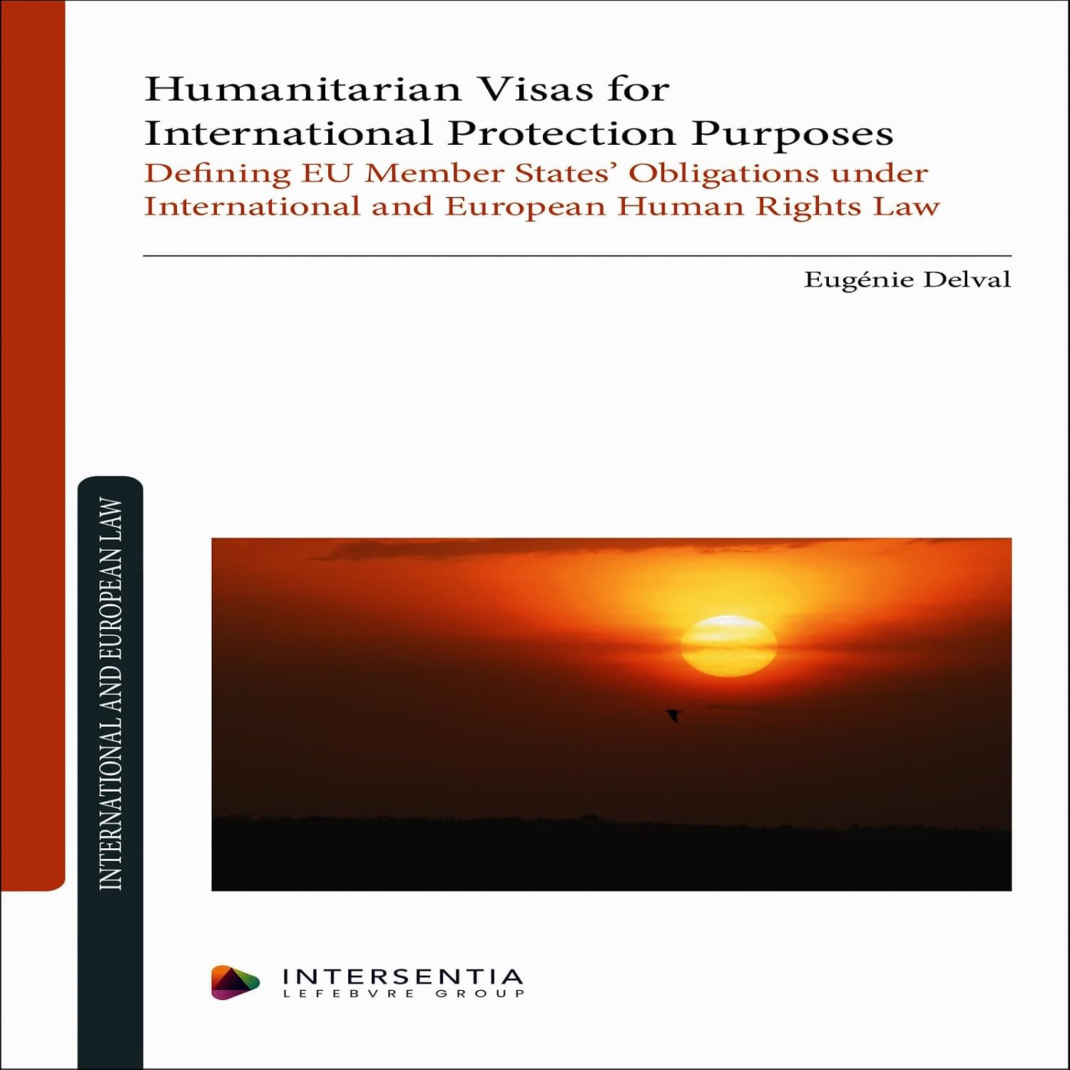 Humanitarian Visas for International Protection Purposes: Defining EU Member States’ Obligations under International and European Human Rights Law (English Edition)