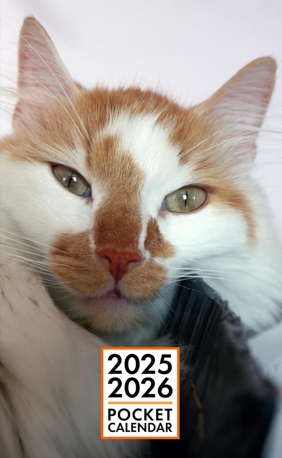 Pocket Calendar 2025-2026 for Purse - Zeus Cat v2 | 2 Year Pocket Planner January 2025 - December 2026 | Small Pocket Size 4 x 6.5 | Sketches of Cats in the Middle baixar livro de graça