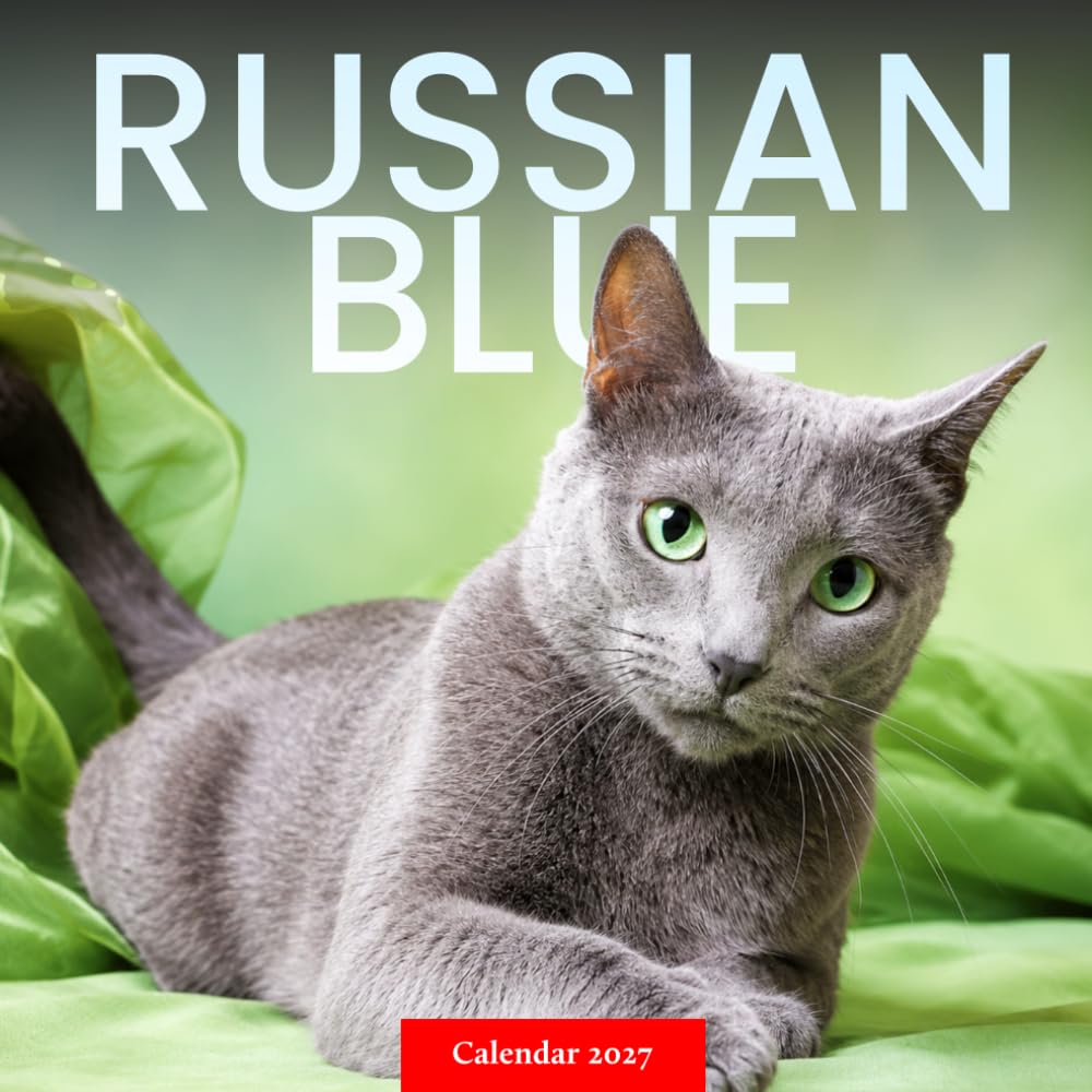 Russian Blue Cats Calendar 2027: Elegant Cat Photography baixar o livro de graça
