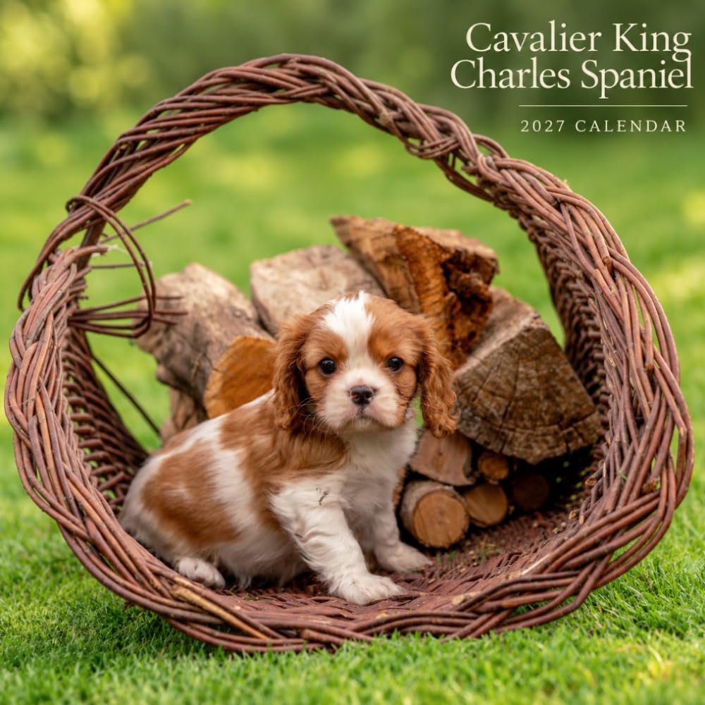 ler totalmente Cavalier King Charles Spaniel Calendar 2027: Companion Dog Photography