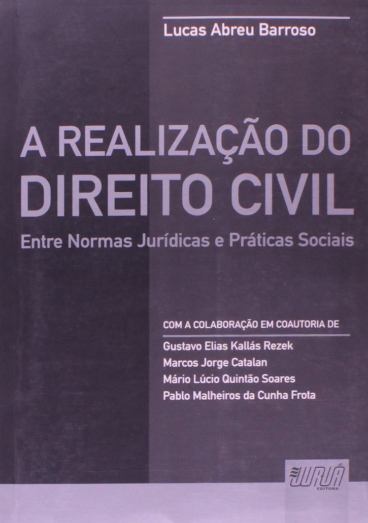 Realização do Direito Civil, A: Entre Normas Jurídicas e Práticas Sociais baixar livro de graça