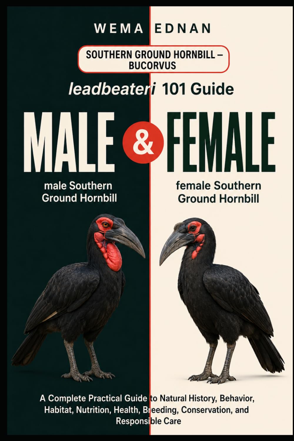 ler totalmente Southern Ground Hornbill - Bucorvus leadbeateri 101 Guide: A Complete Practical Guide to Natural History, Behavior, Habitat, Nutrition, Health, Breeding, Conservation, and Responsible Care