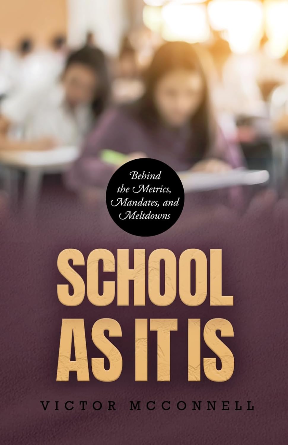 School as It Is: Behind the Metrics, Mandates, and Meltdowns