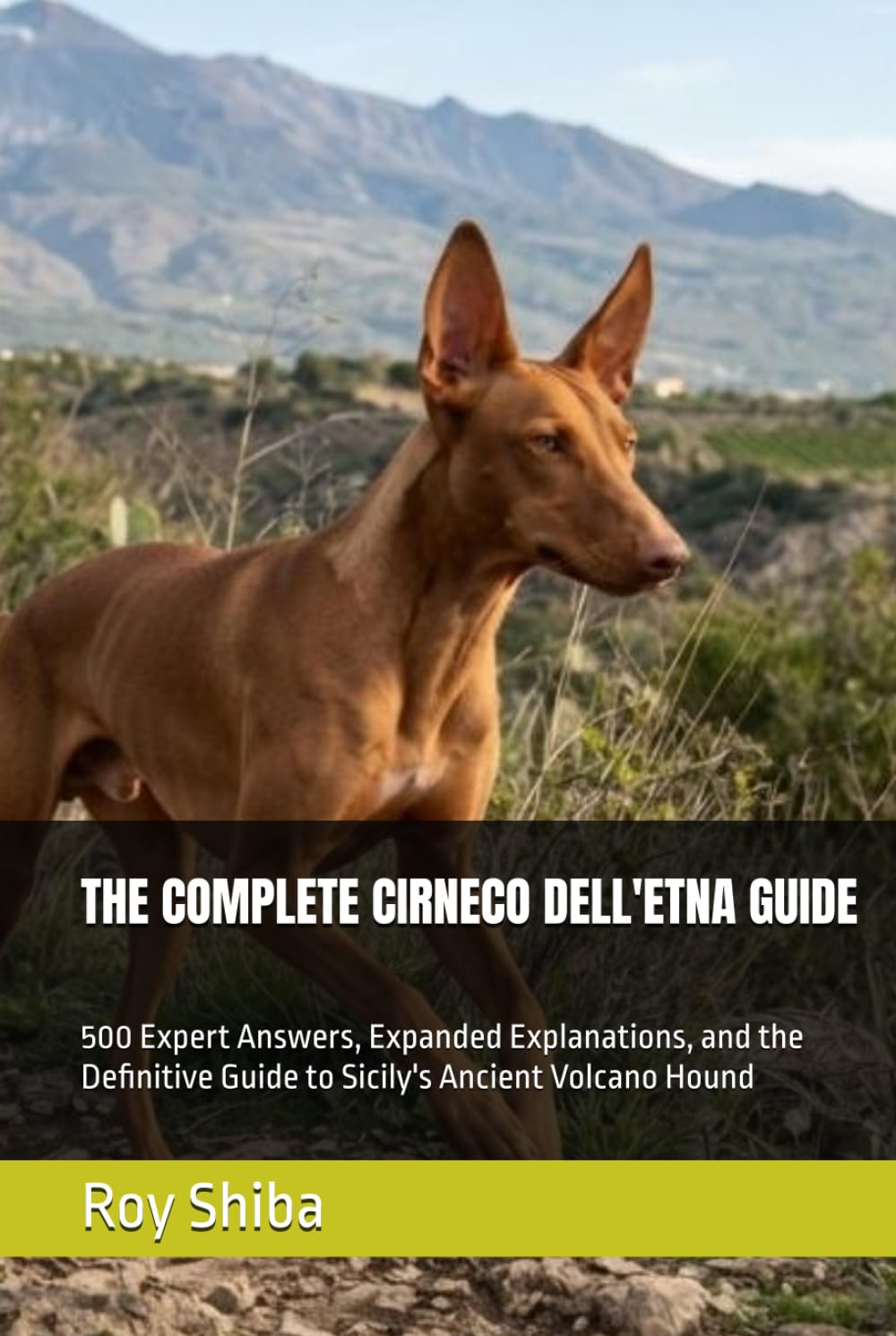 capítulo por capítulo baixar THE COMPLETE CIRNECO DELL'ETNA GUIDE: 500 Expert Answers, Expanded Explanations, and the Definitive Guide to Sicily's Ancient Volcano Hound (The Complete Dog Guide Series)