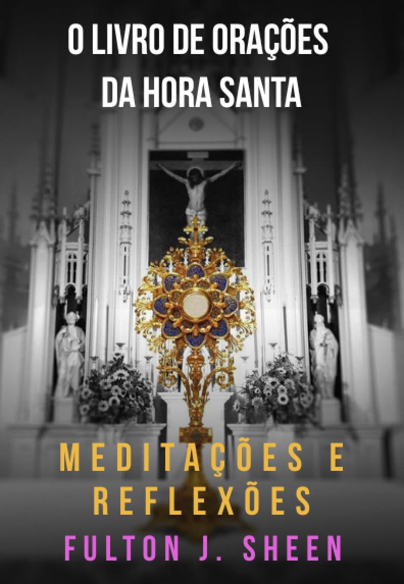O LIVRO DE ORAÇÕES DA HORA SANTA: MEDITAÇÕES E REFLEXÕES baixar livro de graça