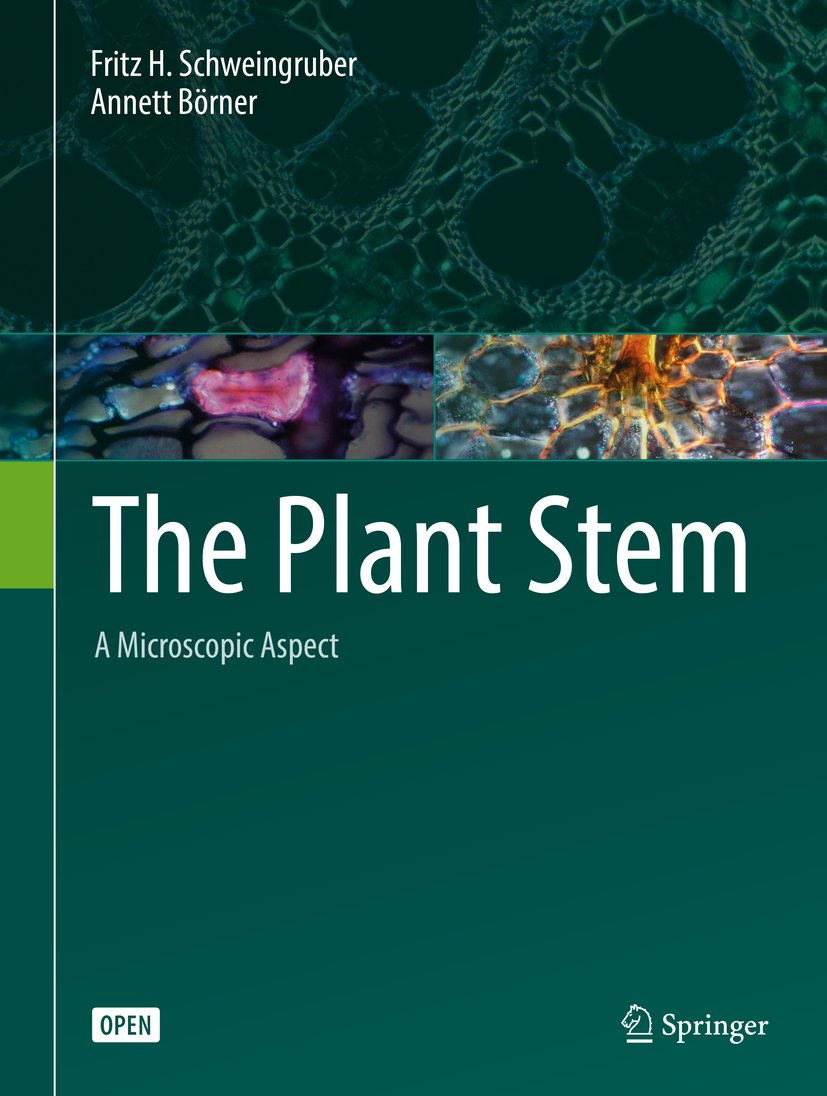 ler totalmente The Plant Stem: A Microscopic Aspect (English Edition)