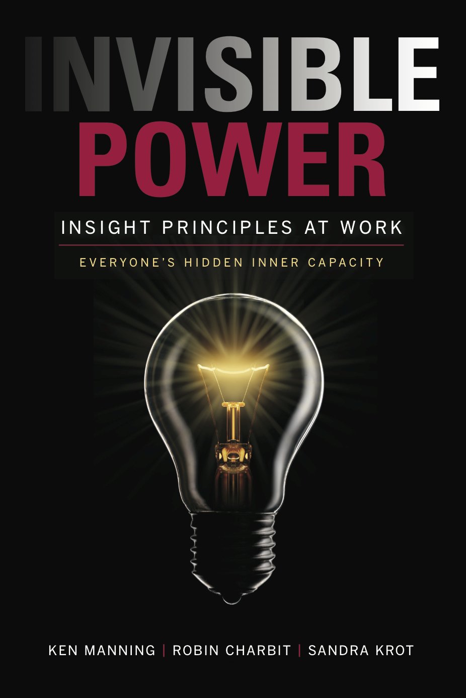 ler totalmente Invisible Power: Insight Principles at Work: Everyone's Hidden Inner Capacity (English Edition)