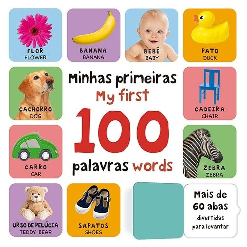 Minhas Primeiras 100 Palavras em Inglês baixar o livro de graça