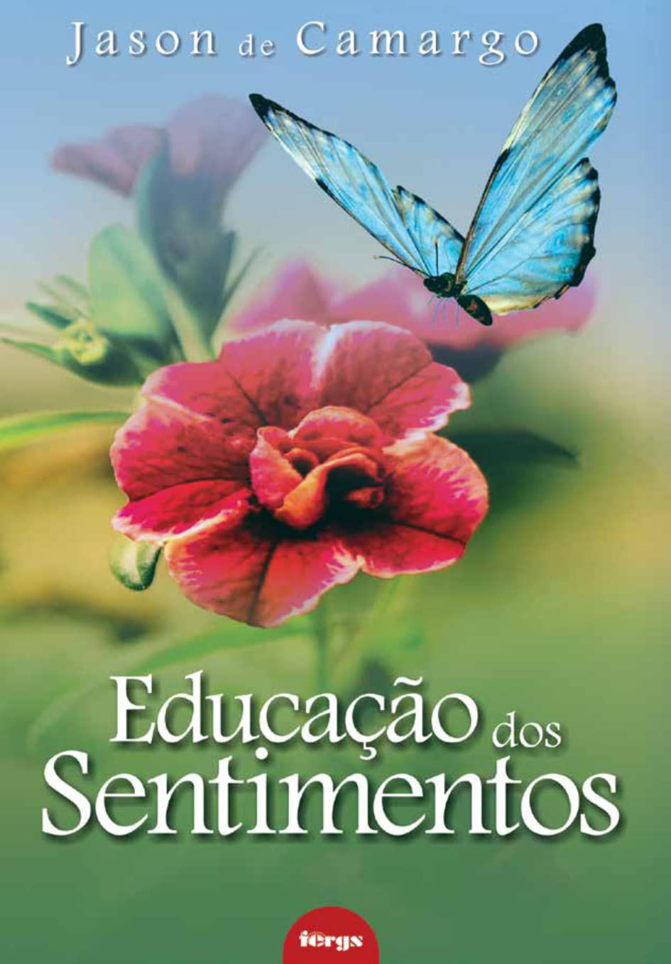 ler totalmente Educação dos sentimentos