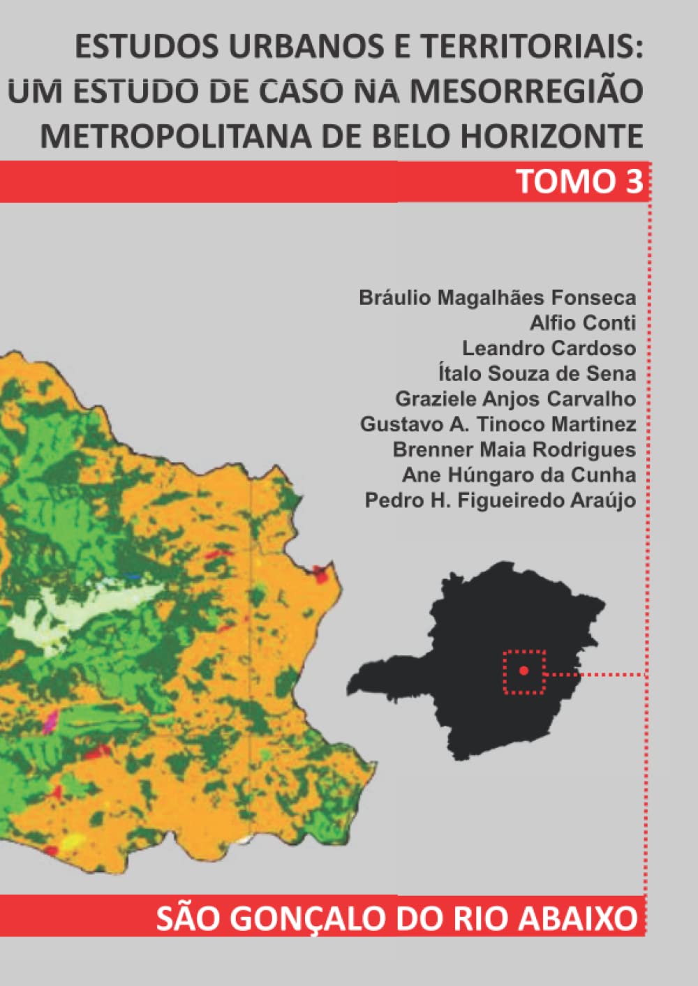 ESTUDOS URBANOS E TERRITORIAIS: UM ESTUDO DE CASO NA MESORREGIÃO METROPOLITANA DE BELO HORIZONTE: TOMO 3 - SÃO GONÇALO DO RIO ABAIXO (Portuguese Edition) baixar o livro de graça