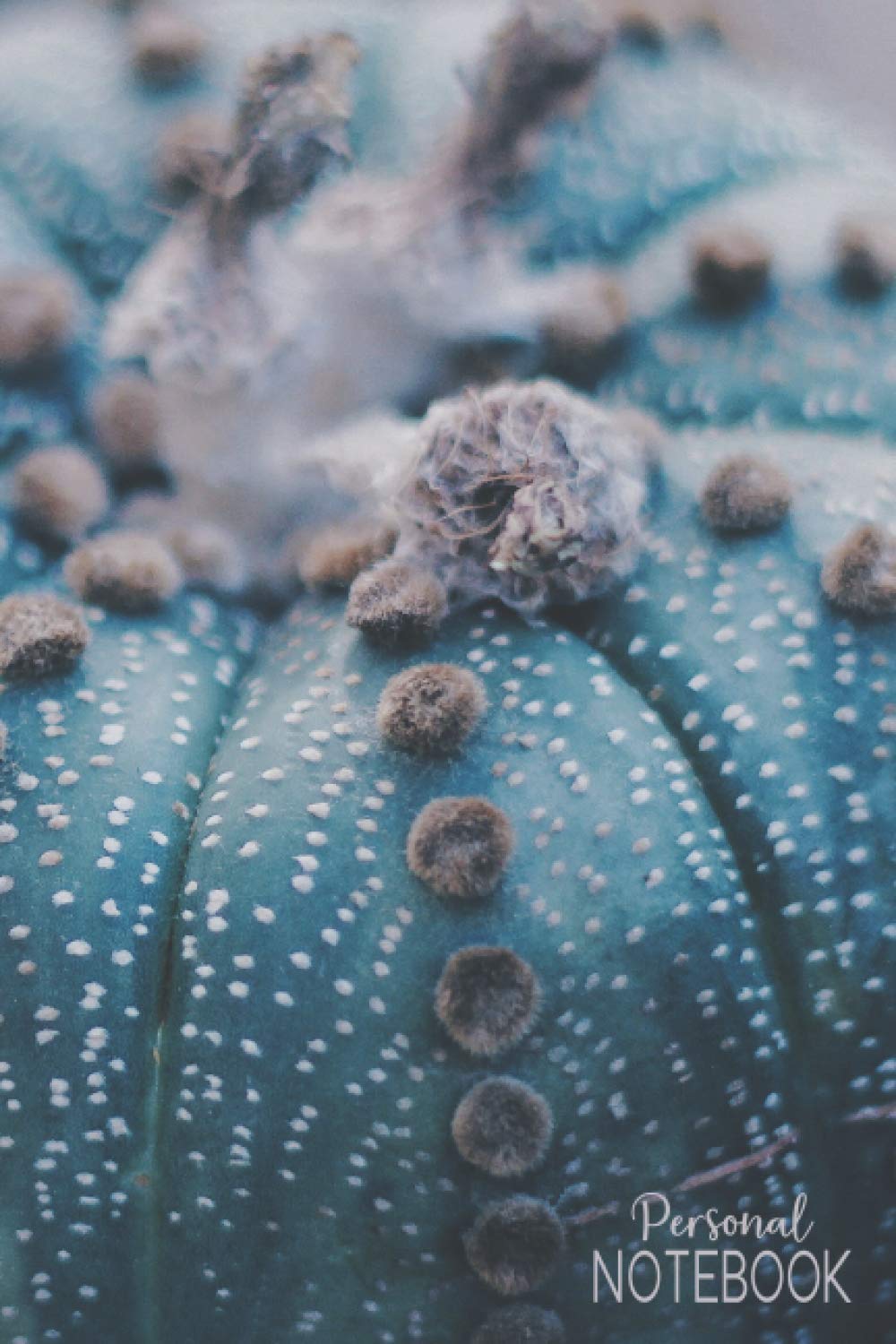 Personal Notebook: 6x9 -150 Page Journal | Succulent Diary | Pretty Notebook | Daily Notes | Cactus Organizer baixar livro de graça