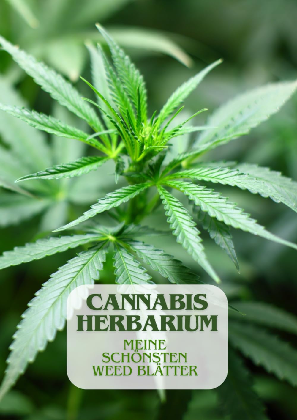 ler totalmente Cannabis Herbarium: Meine Schönsten Weed Blätter | Das Sammelbuch für Leidenschaftliche Grower | 105 Seiten für deine schönsten Blätter | Im großen A4 Format (German Edition)