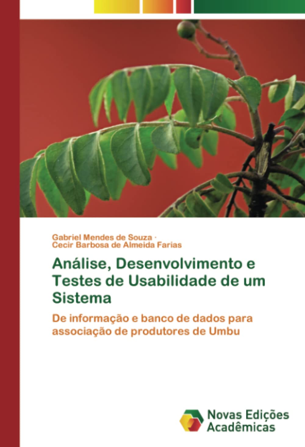 Análise, Desenvolvimento e Testes de Usabilidade de um Sistema: De informação e banco de dados para associação de produtores de Umbu baixar o livro de graça