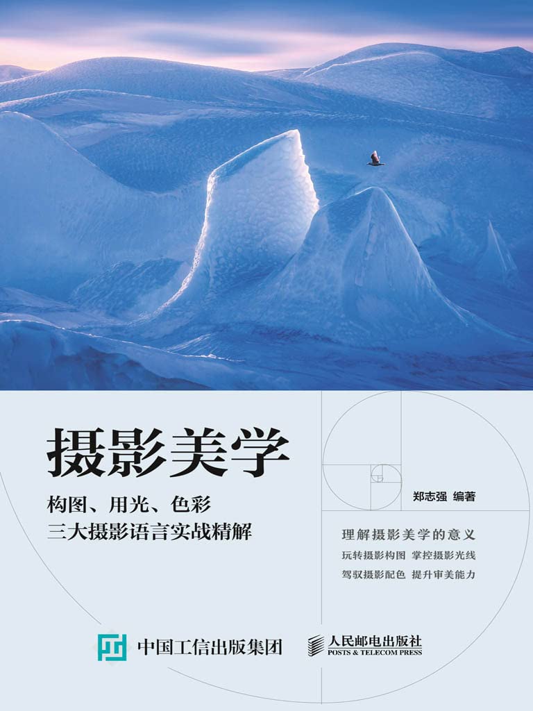 ler totalmente 摄影美学：构图、用光、色彩三大摄影语言实战精解 (Chinese Edition)