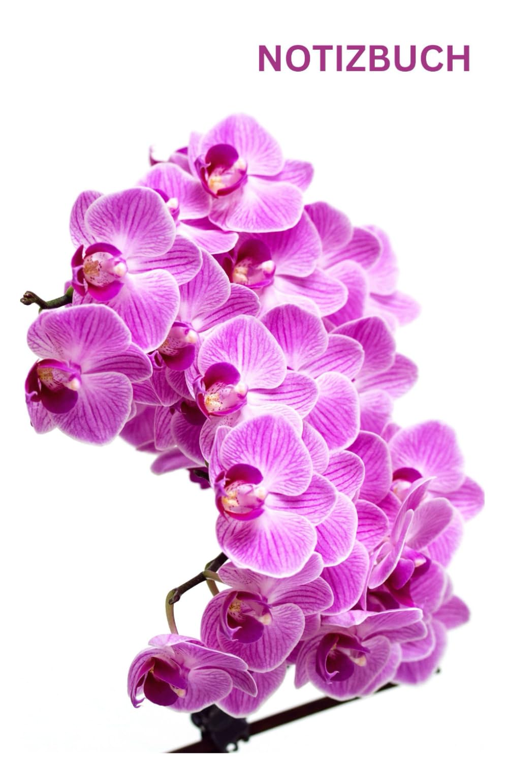 Notizbuch Orchidee, Buch: Geschenk Idee für Blumen Liebhaber & Pflanzen Fans, blanko, Accessoires, Orchideenmotiv, DIN A5: Tagebuch, Journal,... Glücksbringer,Deko (German Edition) baixar livro de graça