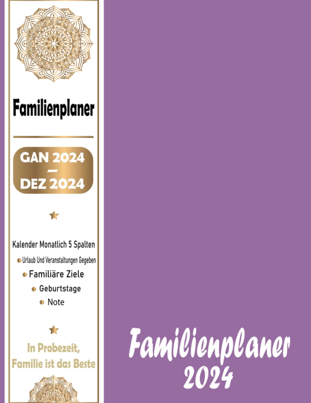 FamilienPlaner 2024: Familienkalender 2024 - Monatskalendarium mit 5 Spalten, Schulferien, Januar 2024 bis Dezember 2024 und nützlichen Zusatzinformationen... buntes Buch (German Edition) baixar o livro de graça