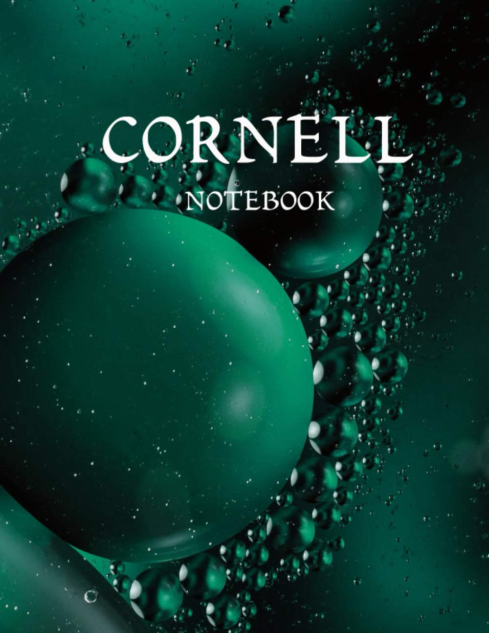 ler totalmente Cornell Notebook: High School, College, University, Cornell Note Taking System Notebook | Watercolor Inkwell Design Journal | 120 Pages, 8.5" x 11"