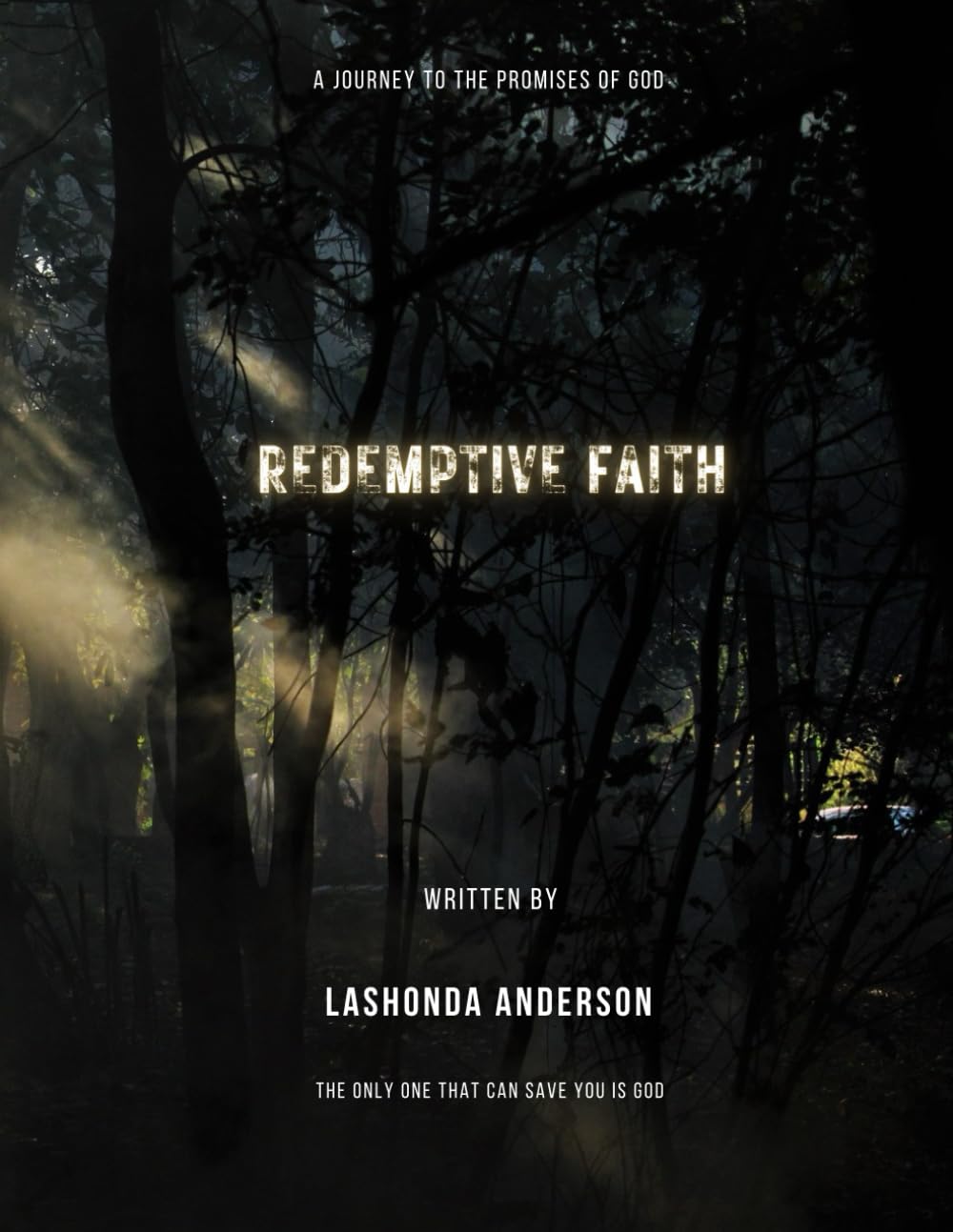 ler totalmente Redemptive Faith: A Journey to the Promises of God
