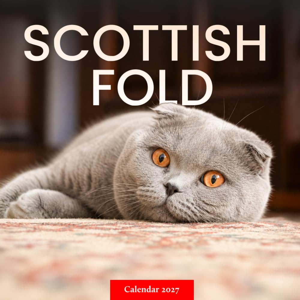 Scottish Fold Cats Calendar 2027: Distinctive Cat Photography baixar livro de graça