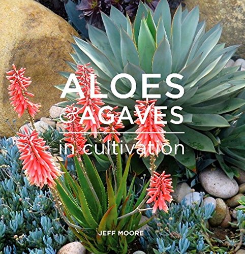 ler totalmente Aloes & Agaves in Cultivation: Sculptural Sentinel Succulents