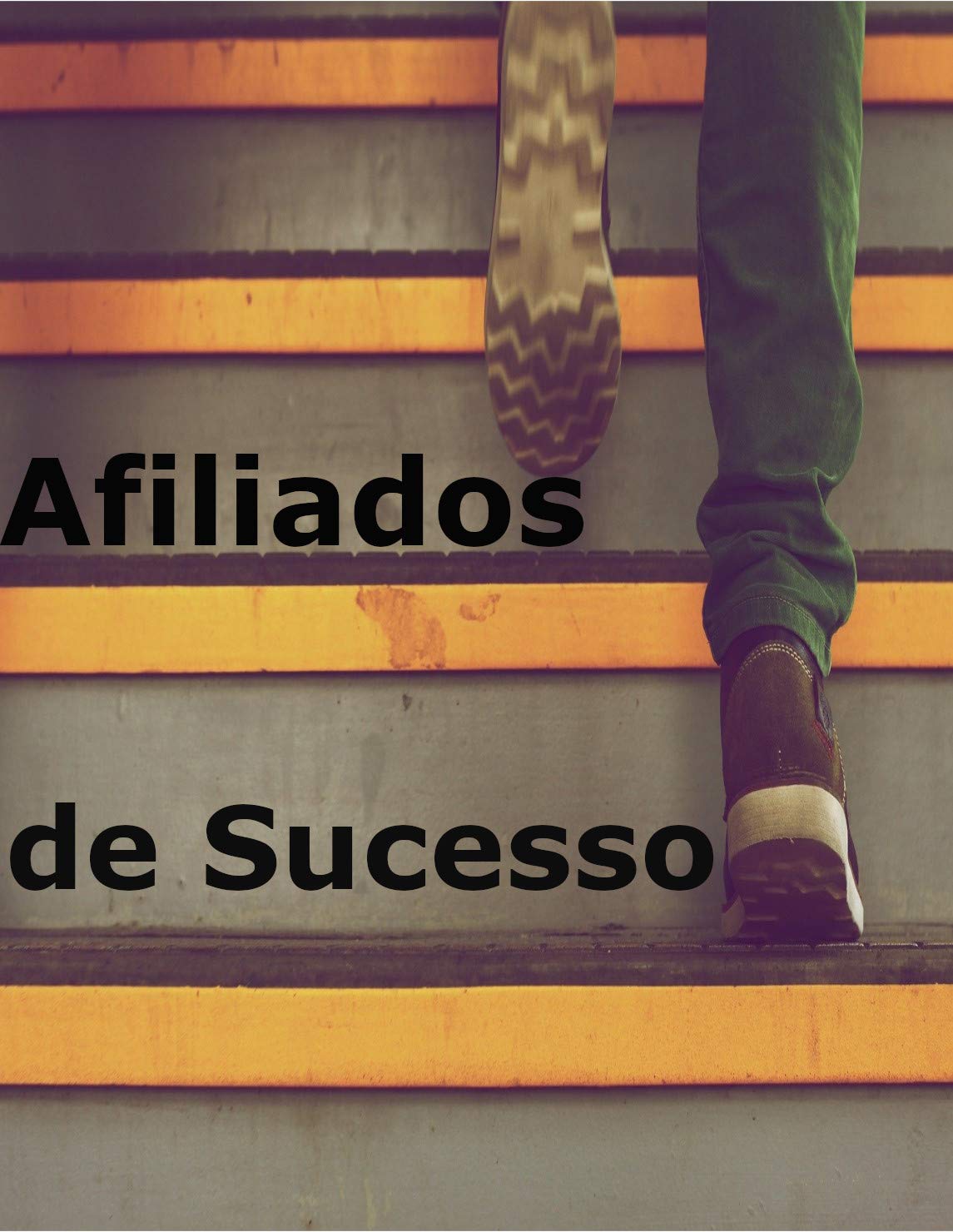 Afiliados com sucesso baixar livro de graça