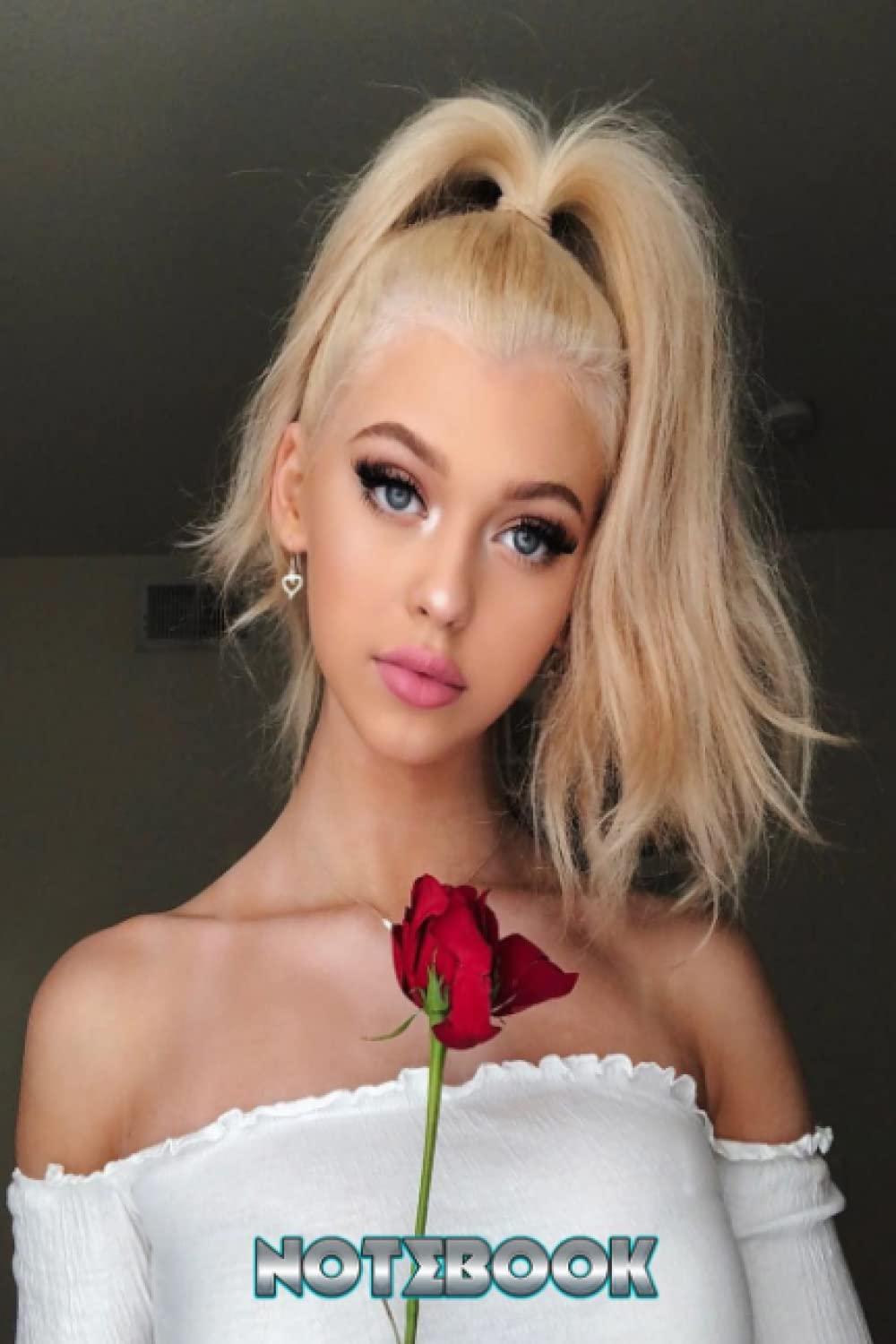 ler totalmente Notebook: Loren Gray Journal Notebook Gift Book for Writing, Thankgiving Notebook for Fans, Gift Idea #348