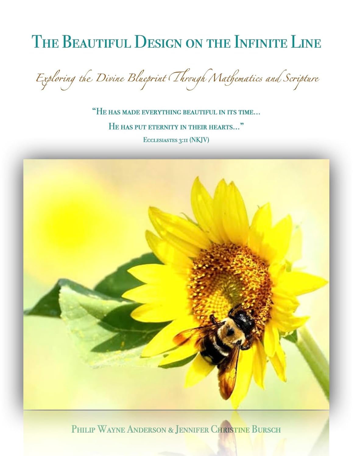 capítulo por capítulo baixar The Beautiful Design on the Infinite Line: Exploring the Divine Blueprint Through Mathematics and Scripture (English Edition)