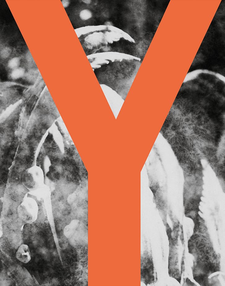 capítulo por capítulo baixar Yalenti