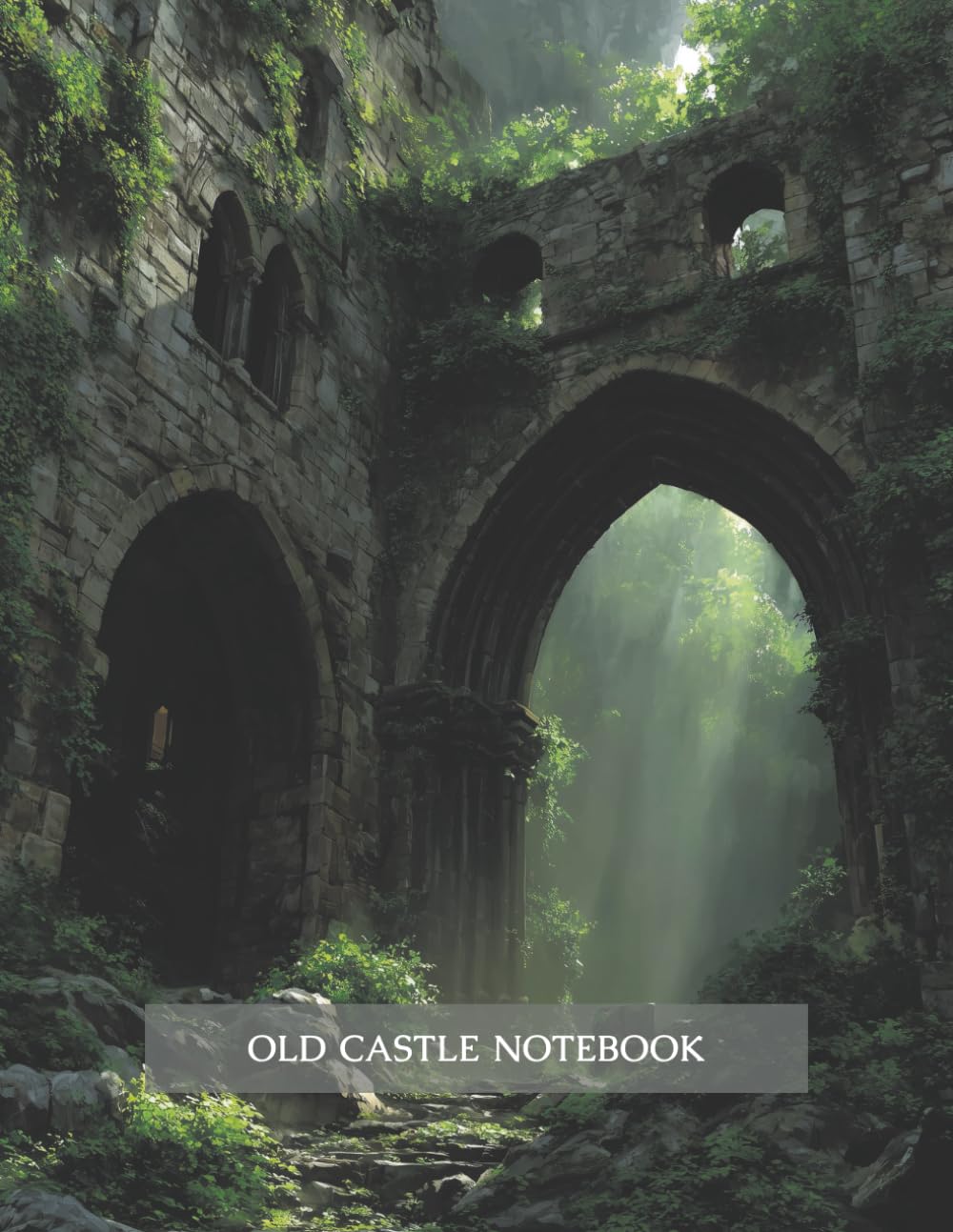 ler totalmente Old Castle Notebook: Lined Notebook for Writing, Focus, and Contemplation (Silent Ruins)