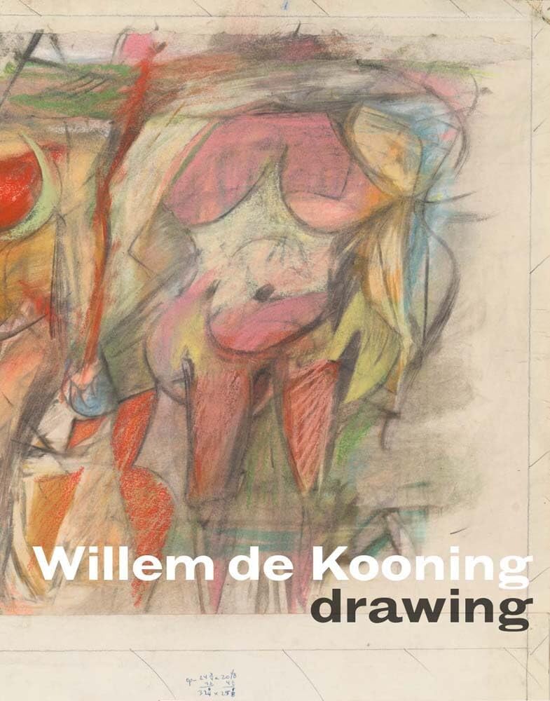 ler totalmente Willem de Kooning Drawing