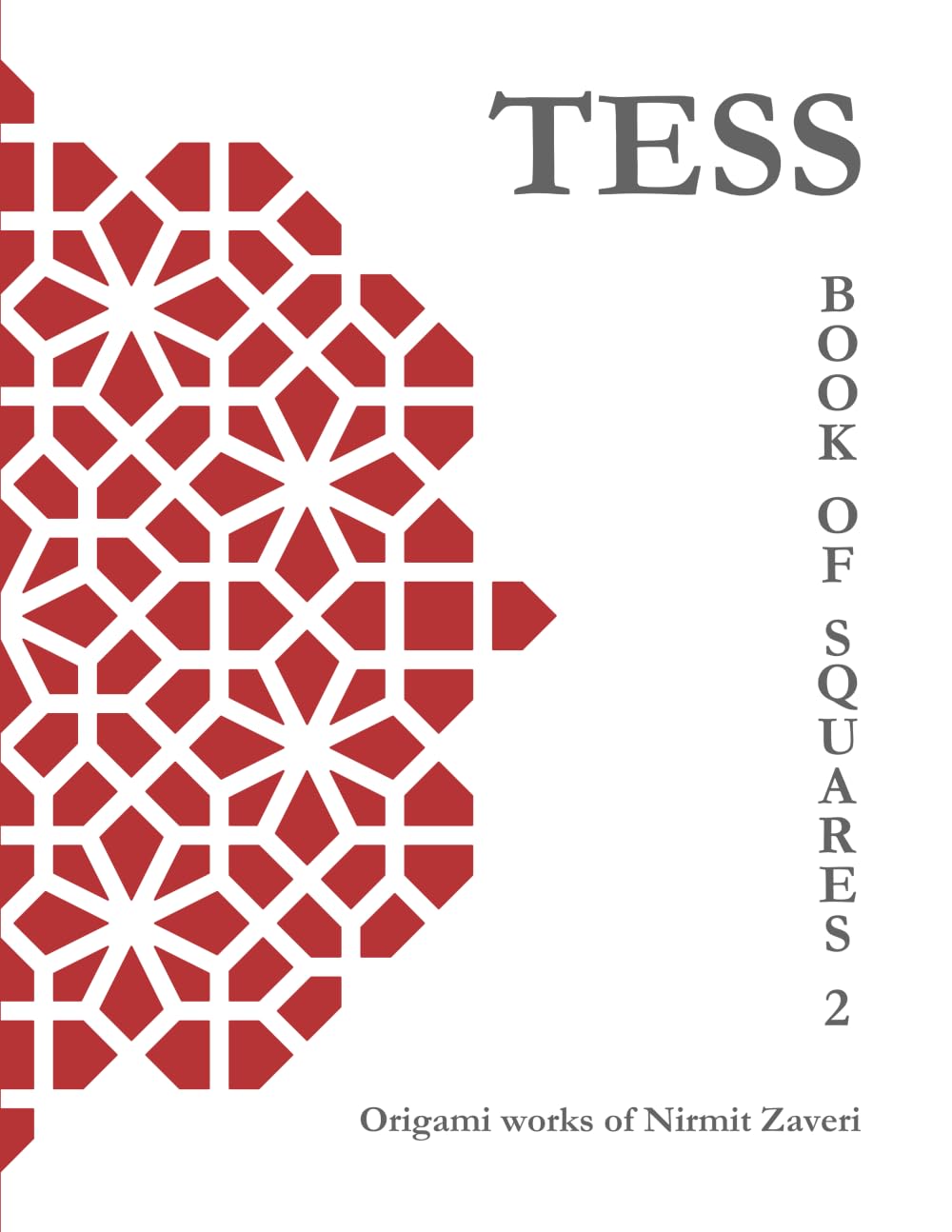 ler totalmente Tess - Book of Squares 2: Origami Works of Nirmit Zaveri