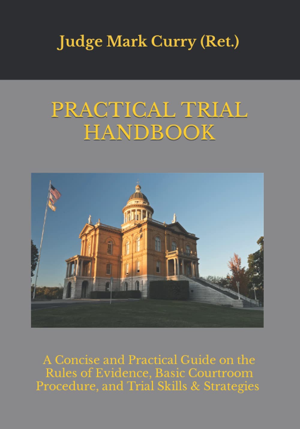 Practical Trial Handbook: A Concise and Practical Guide on the Rules of Evidence, Courtroom Procedure, and Trial Skills & Strategies baixar o livro de graça