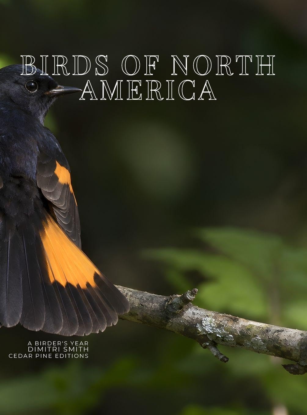 Birds of North America: A Birder's Year baixar livro de graça