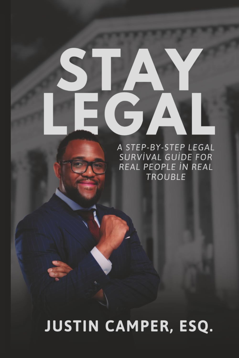 Stay Legal: A Step by Step Legal Survival Guide for Real People in Real Trouble baixar livro de graça