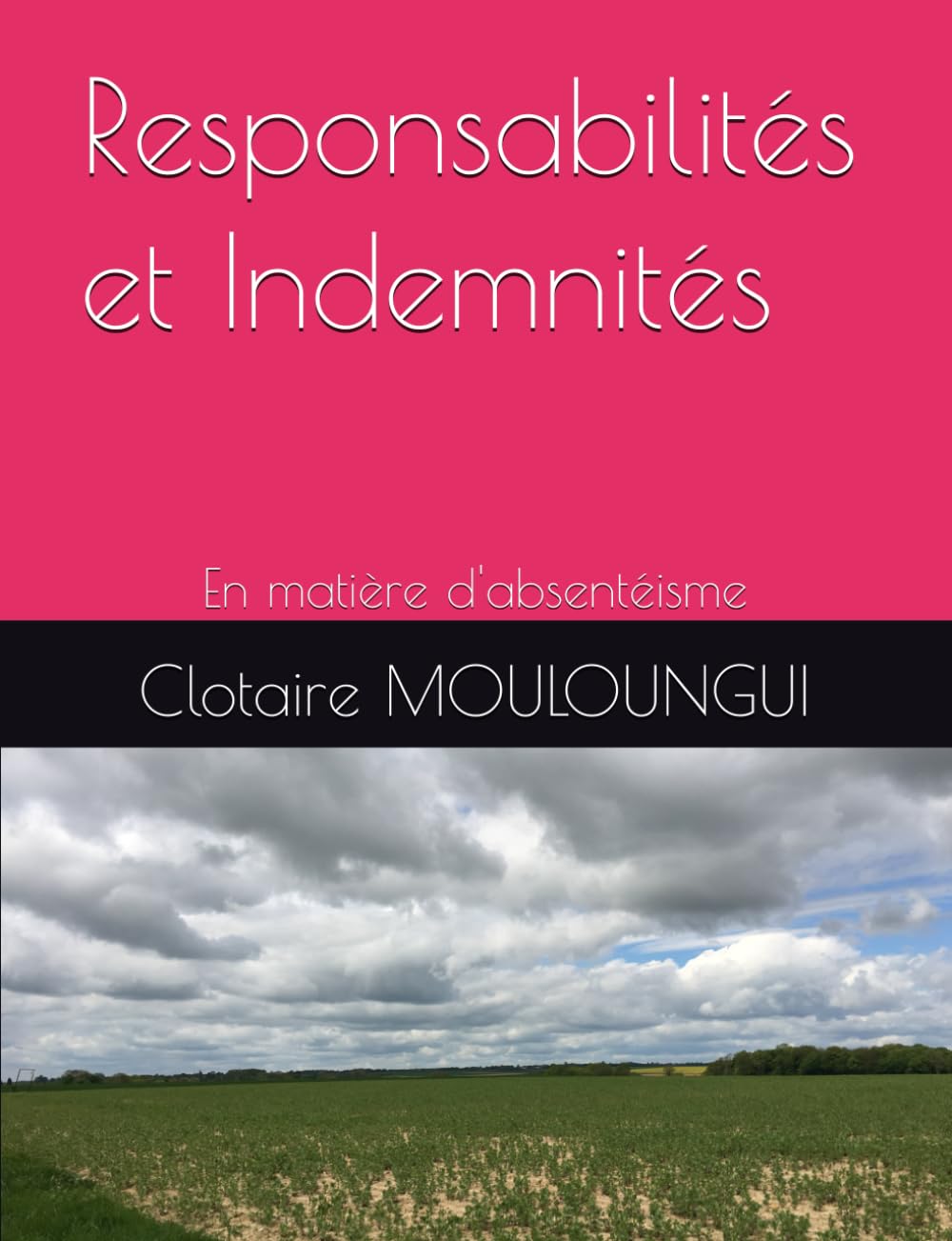 ler totalmente Responsabilités et Indemnités: En matière d'absentéisme (French Edition)
