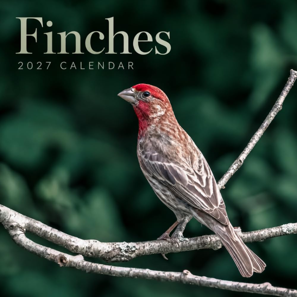 Finches Calendar 2027: Bird Wildlife Photography