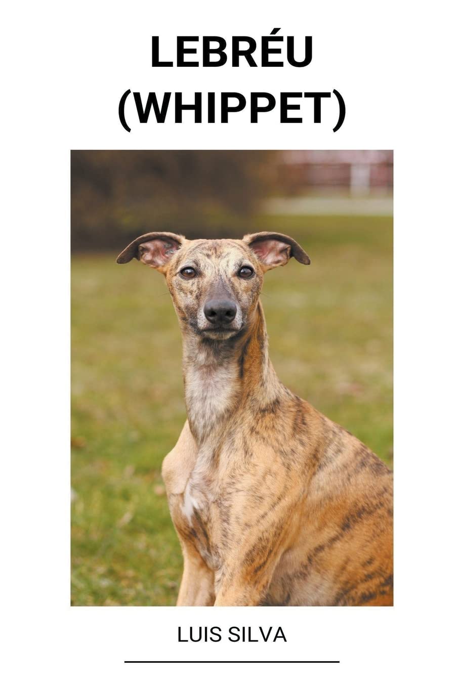 Lebréu (Whippet) baixar o livro de graça