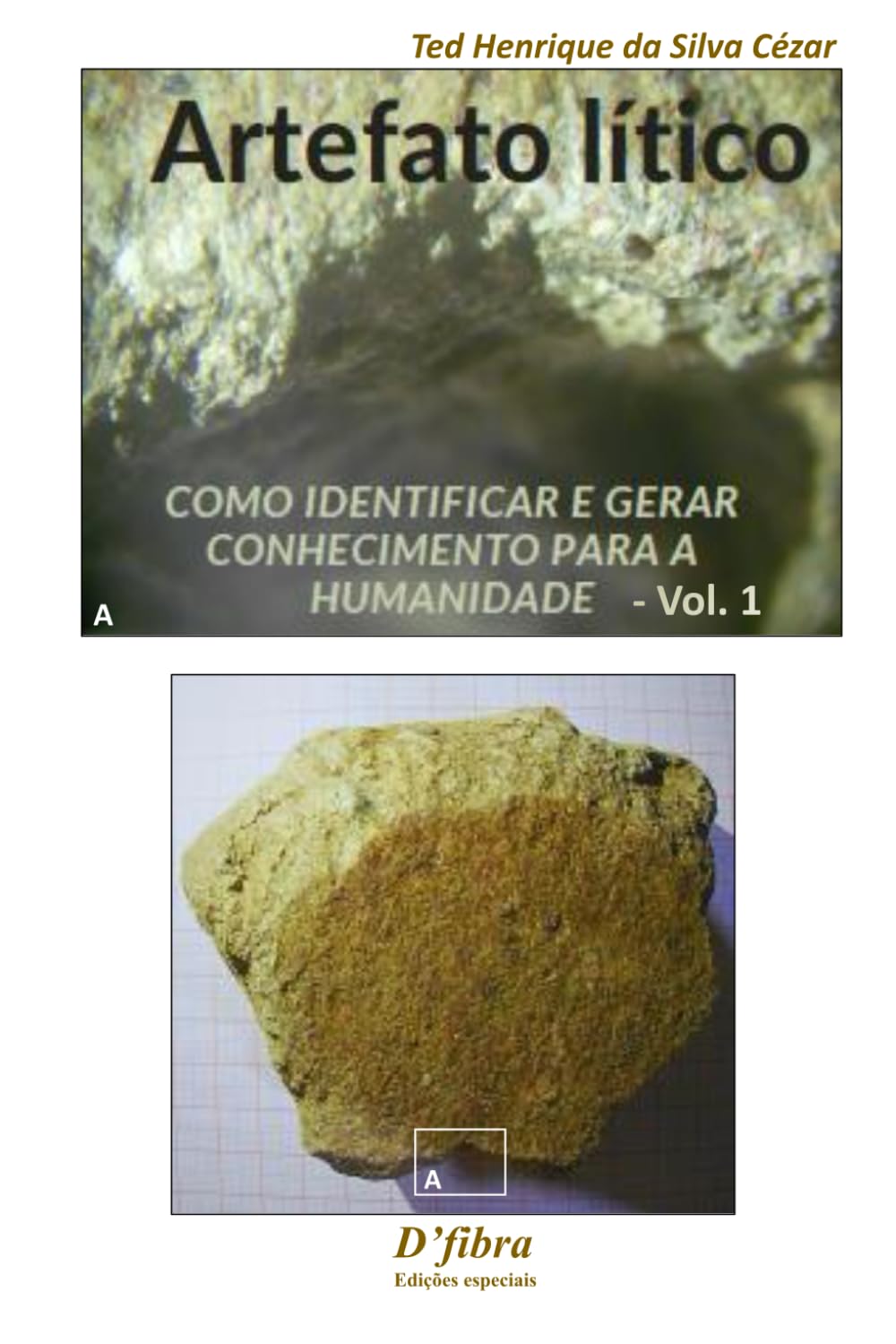 Artefato Lítico: Como identificar e gerar conhecimento para a Humanidade. (Quem tem olhos para ver, que veja mais longe.) baixar o livro de graça