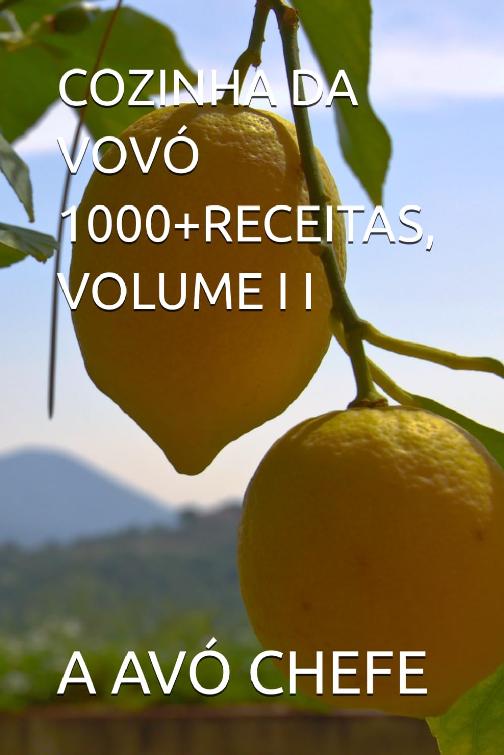 ler totalmente COZINHA DA VOVÓ 1000+RECEITAS, VOLUME I I (COZINHA DA VOVÓ - MAIS DE 1000 RECEITAS) (Portuguese Edition)