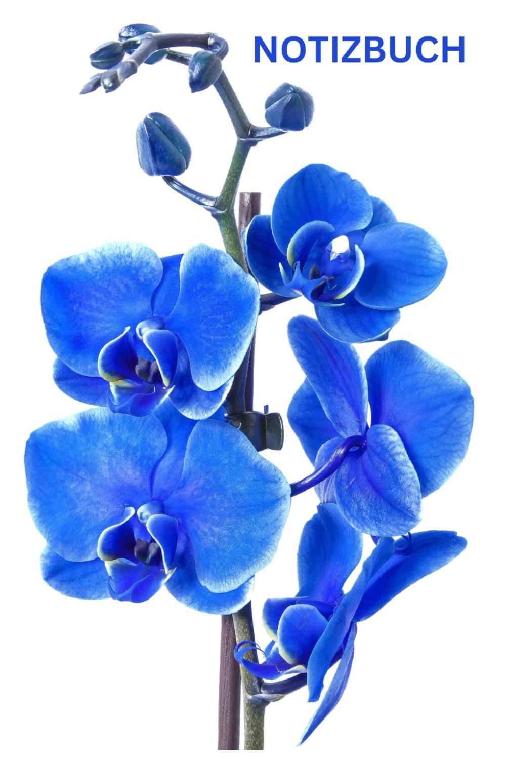 Notizbuch Orchidee, Buch: Geschenk Idee für Blumen Liebhaber & Pflanzen Fans, blanko, Accessoires, Orchideenmotiv, A5: Tagebuch, Journal, Taschenbuch,... Glücksbringer, Deko (German Edition) baixar livro de graça