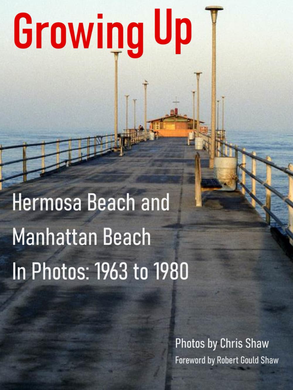 Growing Up: Hermosa and Manhattan Beach in Photos 1963 to 1980 baixar o livro de graça