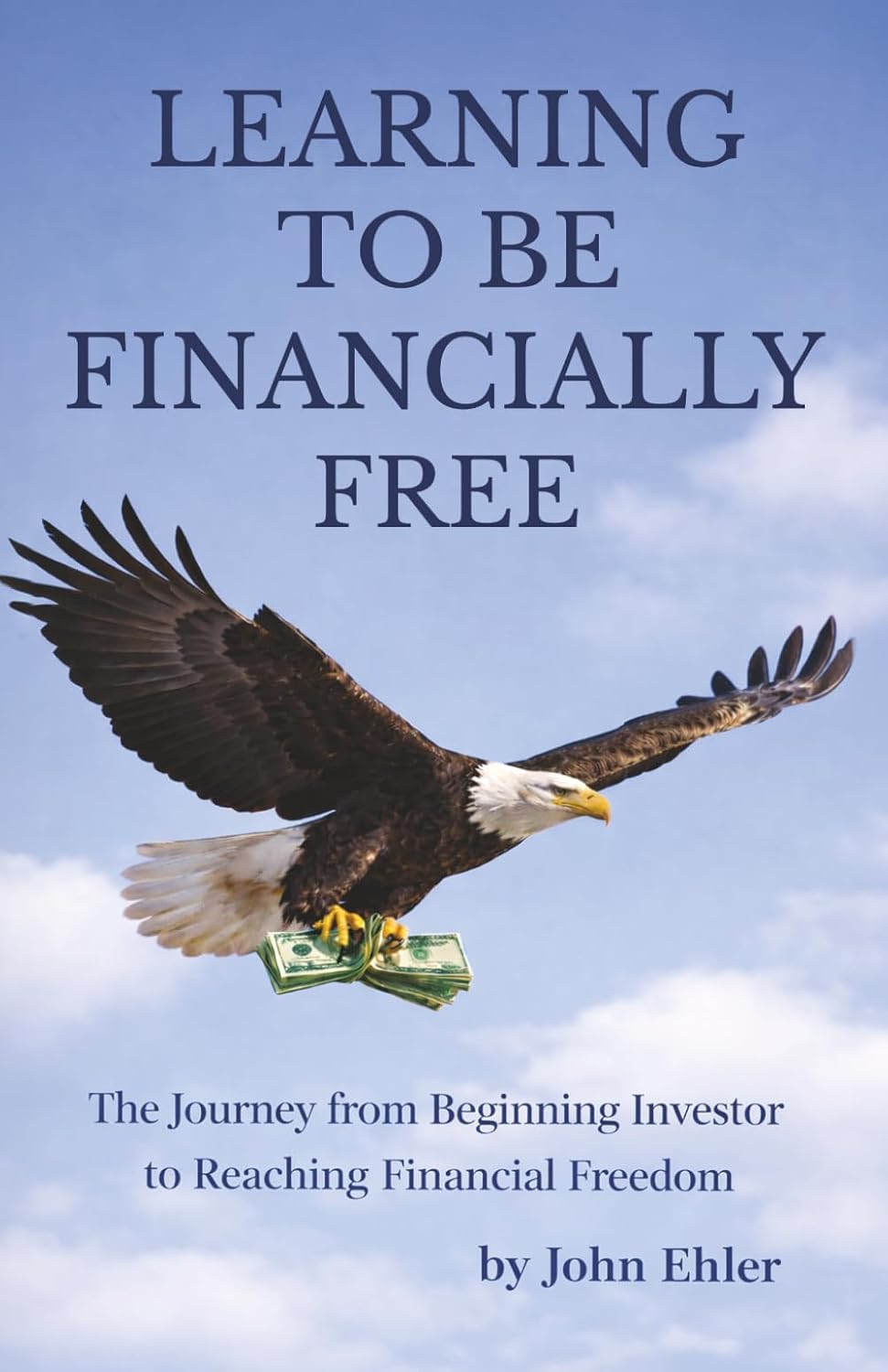 Learning to be Financially Free: The Journey from Beginning Investor to Reaching Financial Freedom baixar livro de graça