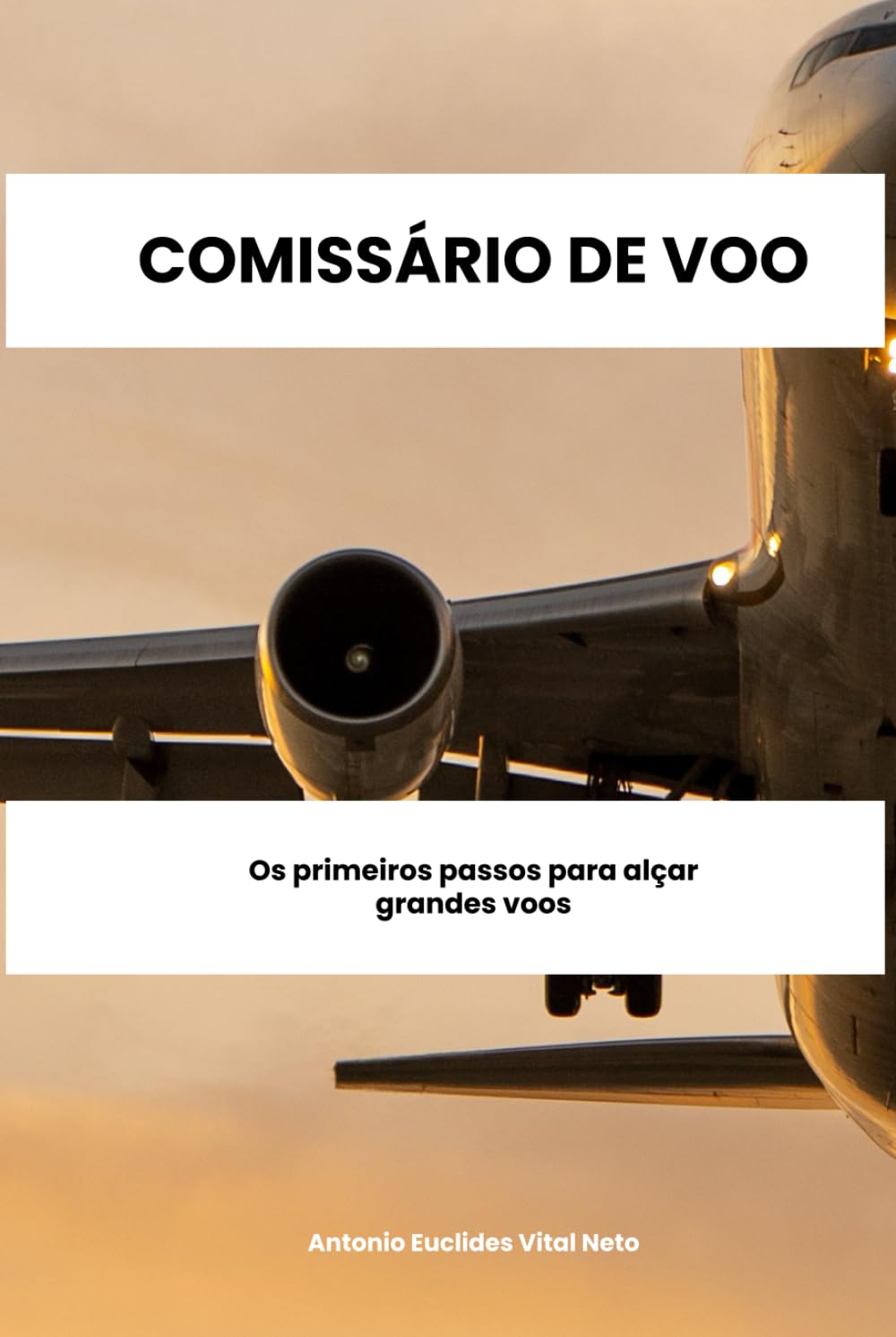 capítulo por capítulo baixar Comissário de Voo: Os primeiros passos para alçar grandes voos (Portuguese Edition)